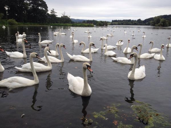 Think these guys are hungry?