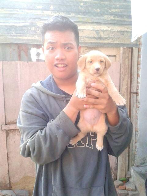 GeoTetukoD's tweet photo. http://t.co/2Rpsb8CjrH