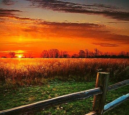 female_memes's tweet image. Лето - это не мое, я осенний человек.