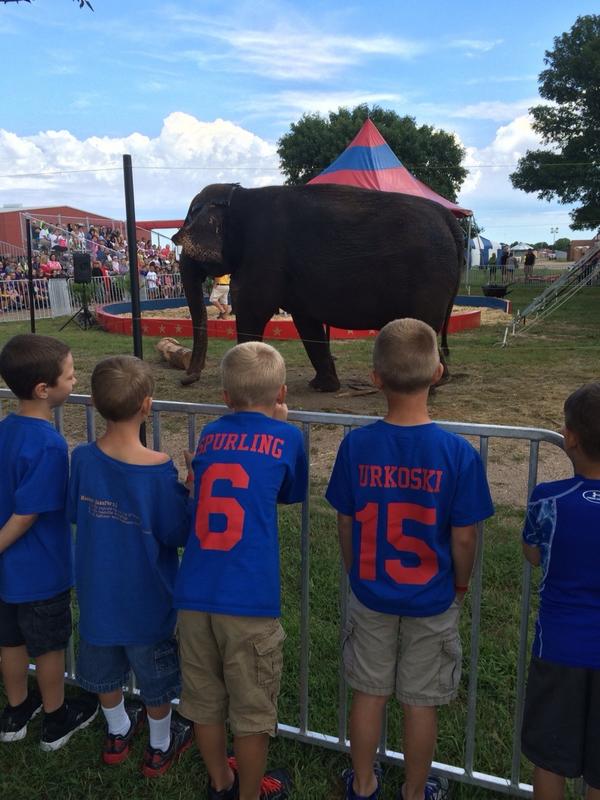 HPC 1st graders at the #elephantencounters show! 🐘 #hpcstorm