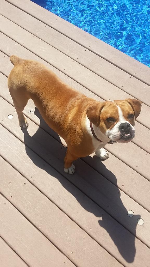 Embedded image permalink