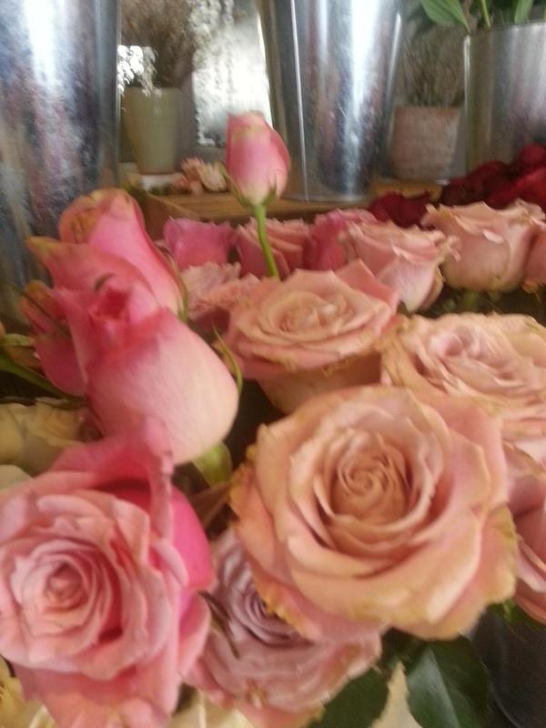 Quick snaps. #flowers #Namibia