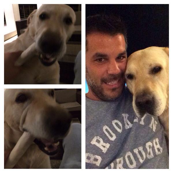 ThePetShopGr's tweet photo. Ο Ρίτσι απ τη Γλυφάδα! #happy_customers #labrador #richie #thepetshop http://t.co/6Ie9D5Bvg7