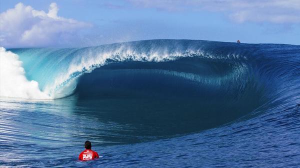 wsl tweet picture