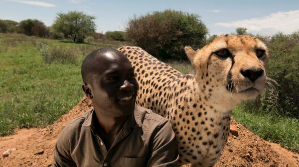 Wonderstruck's tweet photo. There's TWO new Earth Night premieres tomorrow- #SuperhumanAnimals at 9/8c & #HumanPlanet at 10/9c on @BBCAmerica! http://t.co/9rpnHhZJEU