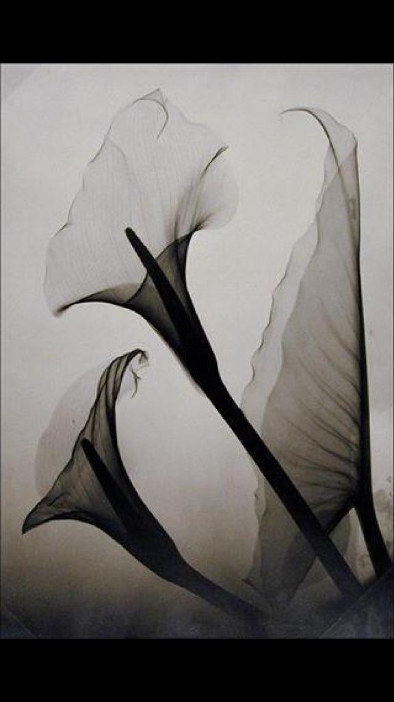 "<a href="/a65xx_/">AAH</a>: <a href="/jojobeau39/">❤Jocelyne Beauregard</a> @SofoARCHI1 <a href="/EGaulier/">Emanuele Gaulier</a> "