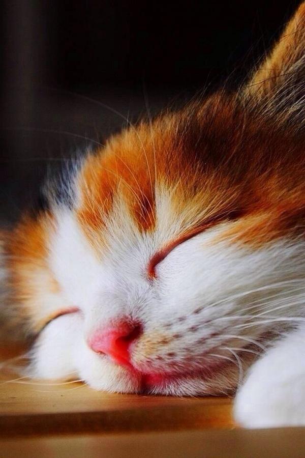 Elverojaguar's tweet photo. http://t.co/Su7eiI1cOk