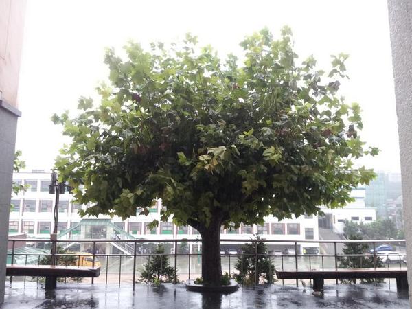 Hyoseok.Kang tweet media