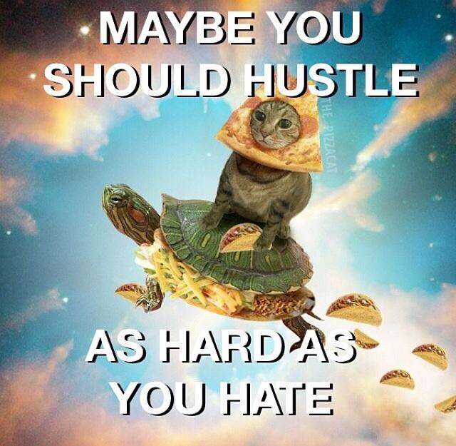 تويتر \ Jay Allen على تويتر: &quot;&quot;Maybe you should hustle as hard as you hate.&quot;  -- @TylerPiersall (&amp; Pizza Cat &amp; Taco Turtle) https://t.co/SWu4PHMD7Y  http://t.co/ylQCINpsVl&quot;