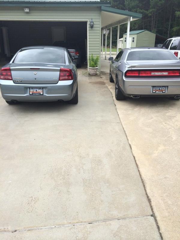 Rarerebelquay's tweet image. Definition of showing your ass 😂 #dodgegang