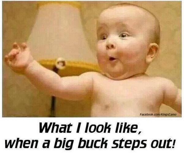 VestOutdoors's tweet photo. #buckFever http://t.co/EnbdR6VKtg