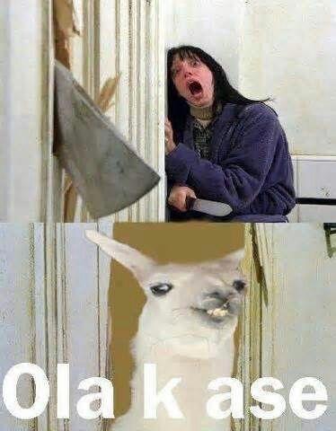 DirectionerJoss's tweet image. 