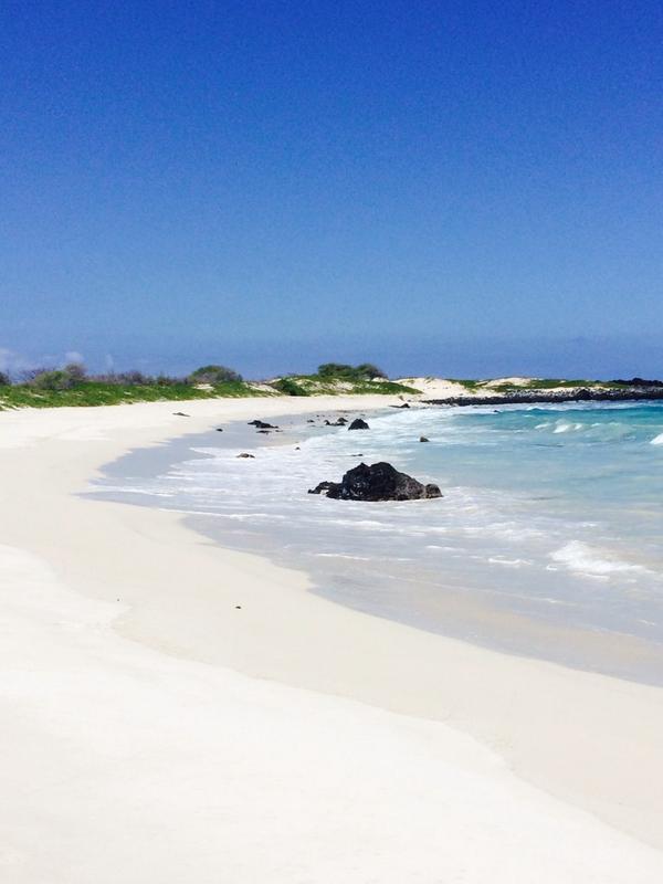 CarltonGebbia13's tweet photo. Jst paradise! ThkU Awesome Zuriff Family,LoveU! Incredible boat n journey #Zuriff #AmazingBoat #Dolphins #FlourBeach http://t.co/08WWT7LyiU