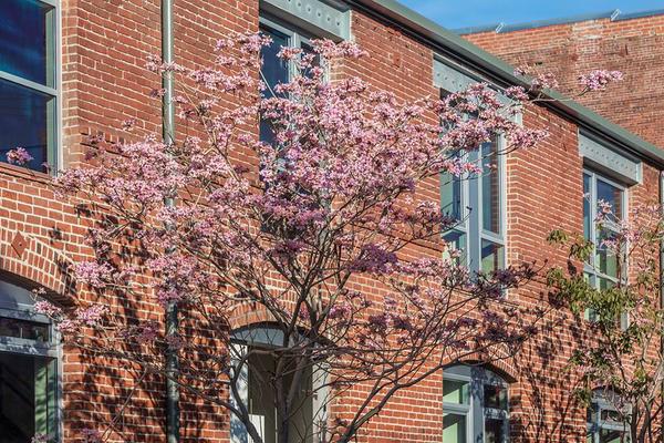 BarkerBlock's tweet image. Make it a great week, #DTLA! #ArtsDistrict #HomeAtBarkerBlock