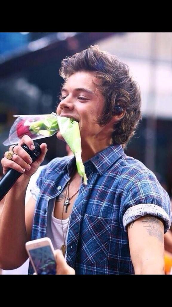 bestpicsofharry's tweet image. 