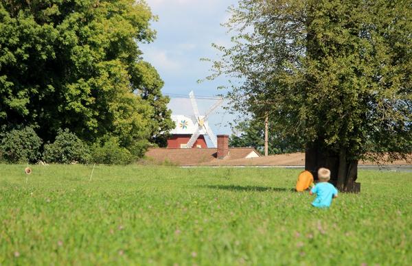 ExerciseBob's tweet image. Love watching my son catch butterflies-he caught 3 monarchs to my 1 #nature #fatherson