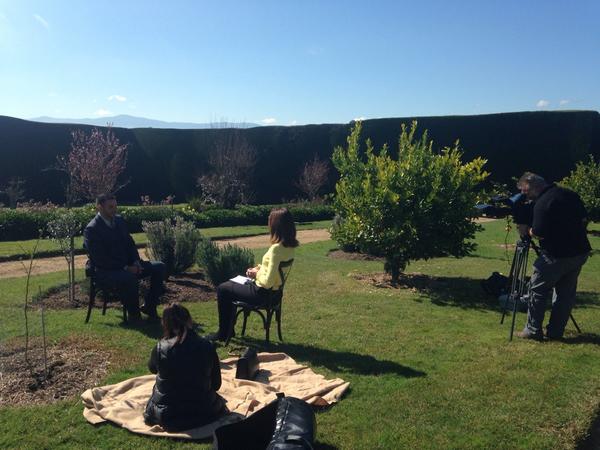 Georgia Green tweet media