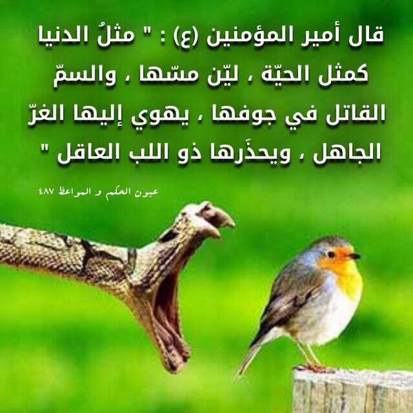 مثلُ الدنيا كمثل الحيّة،ليّن مسّها ،والسمّ القاتل في جوفها ، يهوي إليها الغرّ الجاهل ، ويحذَرها ذو اللب العاقل
