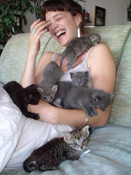 Elverojaguar tweet picture
