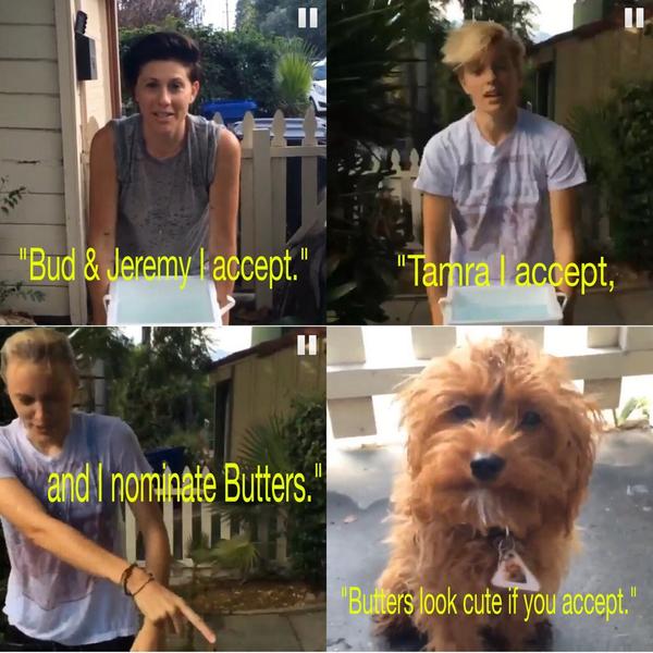 CornyChaos44's tweet image. THIS WAS THE BEST THING EVER!!!!! MY WEEK IS MADE! @ButtersPerry @Tamratam @ErikaLinder #ALSChallenge @katyperry 😂😭✌️