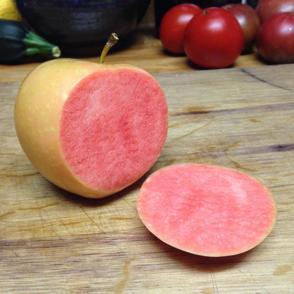 MaryCallaRowan's tweet photo. My first slice of a Pink Pearl apple. Damn it feels good to be a farmer. #organic #sonomasummer #native #California http://t.co/L7gSI0iwN2