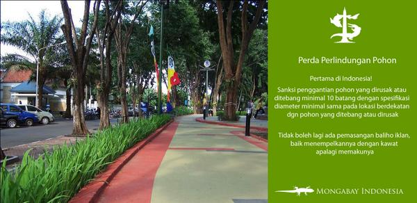 via <a href="/MongabayID/">Mongabay Indonesia</a>: Inikah Perda perlindungan pohon pertama di Indonesia? Surabaya makin nyaman bila perda ditegakkan.