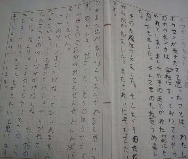 小学３ねんせいの書いた作文 ホウセンカの成長記録 が可愛すぎるw Togetter