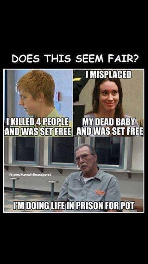 Brandon01230333's tweet image. #weedproblems