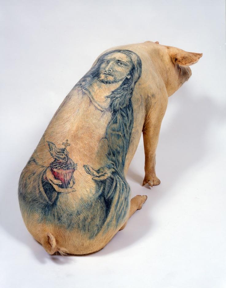 Wim Delvoye Tattooing Pigs For The Art Of