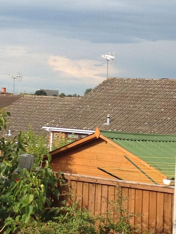 Mia_Cluer's tweet image. @Mr_Ray_Light I think it's  going to start raining turtles where I am #turtlecloud