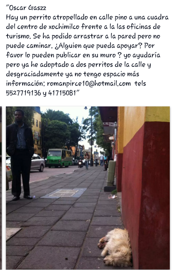 Buenos dias comunidad defensora de animales por favor ayudemos compartiendo