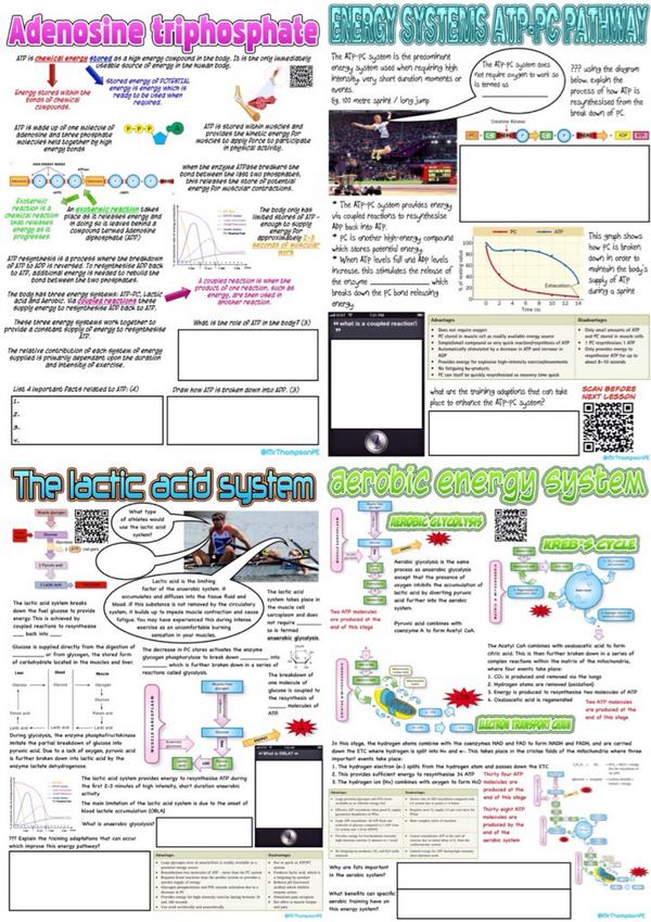 MrThompsonPE's tweet photo. @PE4Learning @PEgeeks these are just a few examples of A2 Physiology resources being uploaded to my Dropbox. #pegeeks http://t.co/MGjqqbrKld