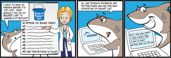 oceana's tweet photo. Day 4. My species is racing toward extinction. Help me let the world know! -Dusky http://t.co/5Eh3h8Hd8Z #SharkWeek http://t.co/KKvaSuQFJk