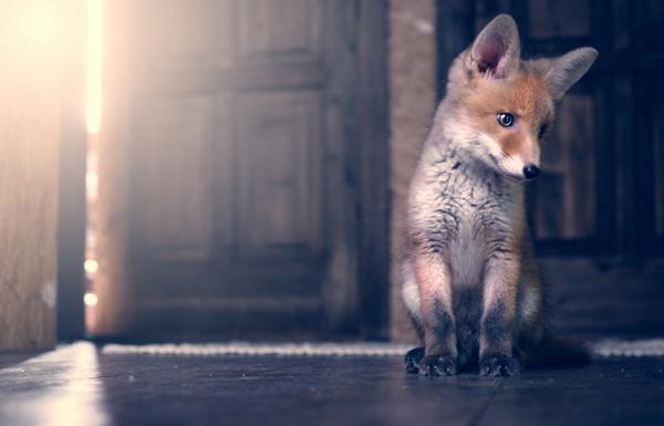 Fllw @Viken_shrestha tweet media