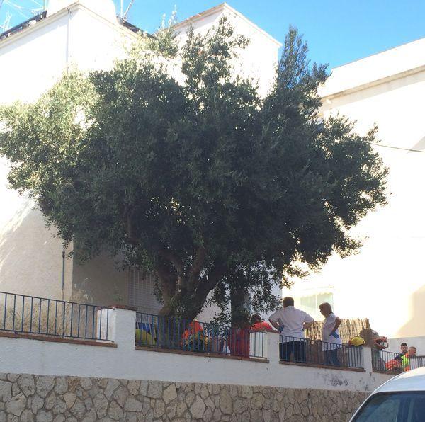 View image on Twitter