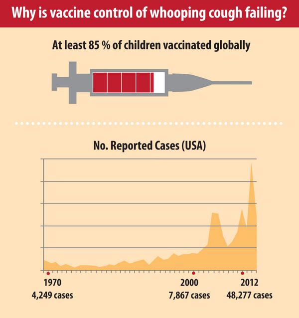 JenaidMRees's tweet image. The Expert Review of Vaccines #Pertussis issue is launched! bit.ly/1nSXXq1
