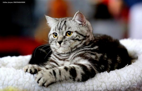 Fllw @Viken_shrestha tweet media