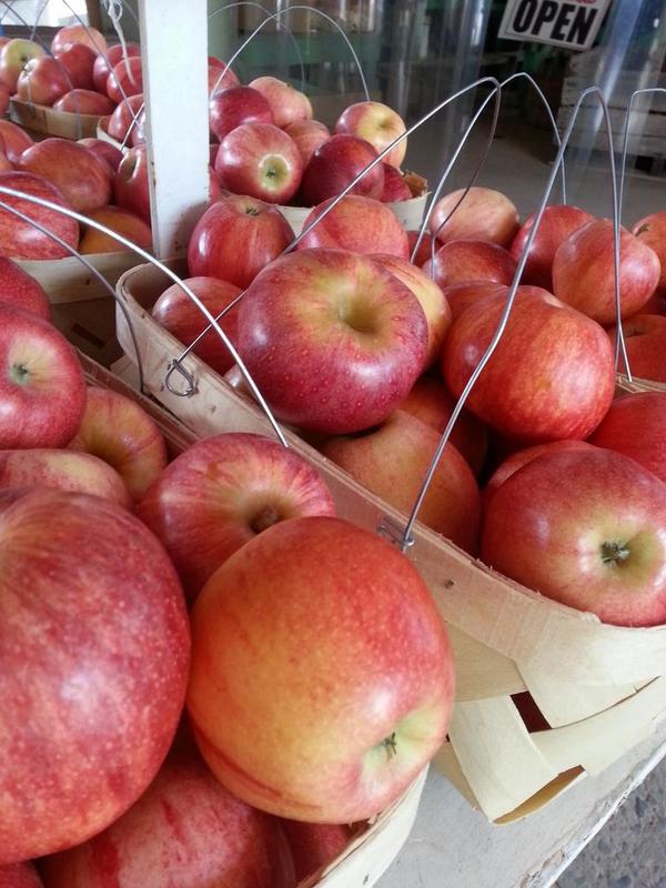 Scott's Orchard tweet media