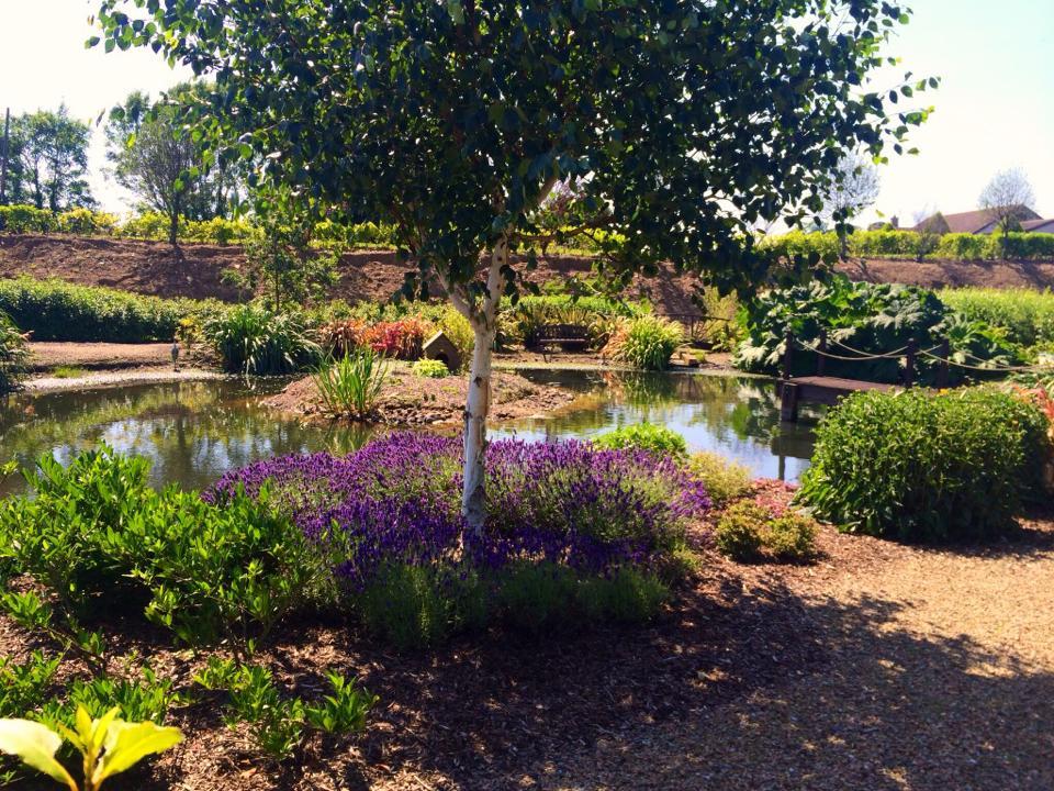 Ashvale Farm Shop tweet media