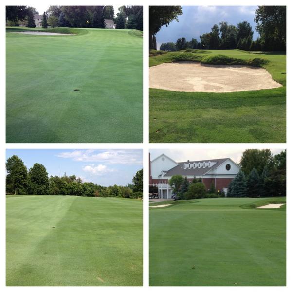 LeefordSimpson's tweet image. Thank u @claystewart58 for ur time course looks #Pure @SyngentaTurf @HarrellsLLC #HarrellsMax #IronMan #DonaldRoss