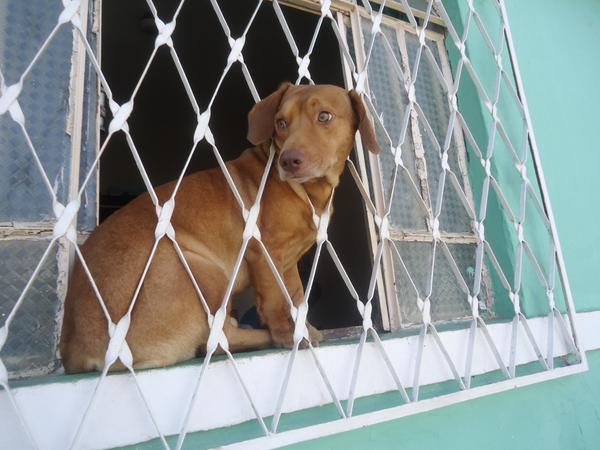 eusimonique's tweet image. #balancogeral