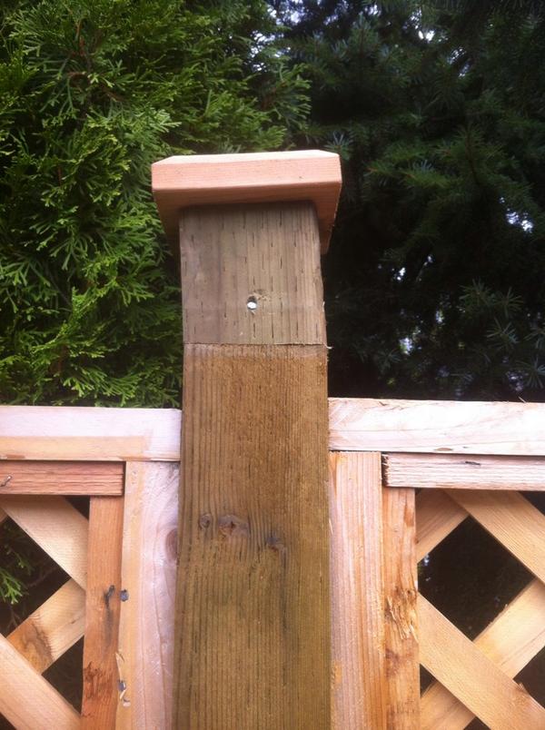 _sprinklerguys's tweet photo. Oh, you wanted caps for your posts? #NoProblem  I have the perfect solution! #Really ?? #Cmonman http://t.co/YaVxU7TUse