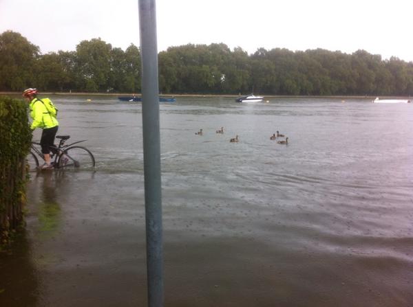 Have a lovely summer!