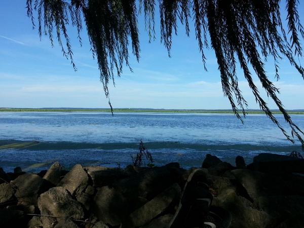 cdavis080792's tweet image. Where I find my peace