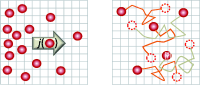 read discrete distributions