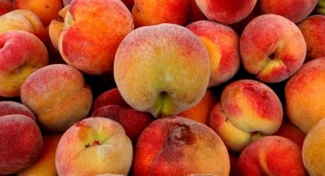 WVirginiaSent's tweet image. #AlbertEinstein #CopyrightJimJaillet #PhotosBlog #YesterdayMary  j.mp/1AijL78