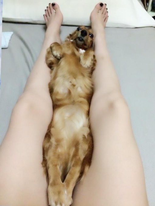 挟まる生命体 http://t.co/AFuKol7wD1