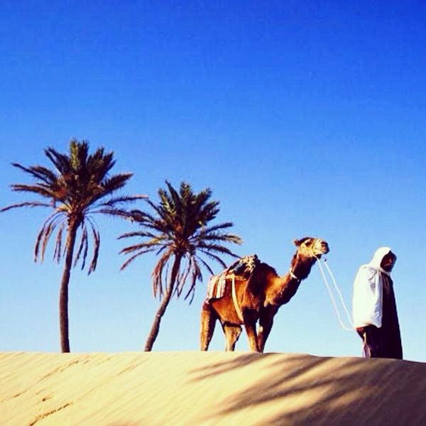 SimSimTravel24's tweet image. ❗ 🔥 ГОРИТ ТУНИС!

🌴 ТУНИС, СУСС
RESIDENCE KANTAOUI 3* = 21 950р. на человека!
Вылет 25 августа на 14 дней,завтраки