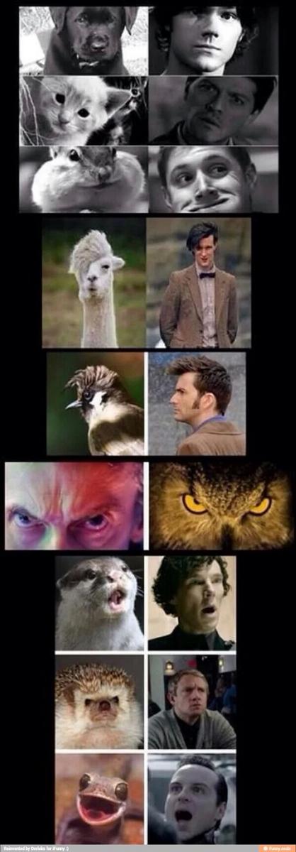 Superwholock <a href="/BondGirl_007_/">Bree Rae</a>  @Burky_JeffDrskl  ifunny.mobi/i/1sqxltq52