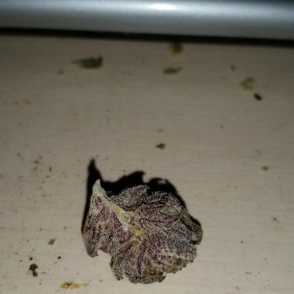 applejuice14431's tweet image. #0gKush #Nofilter #sublimator by yesimedikate